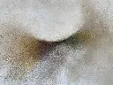 IMG_2533.webp